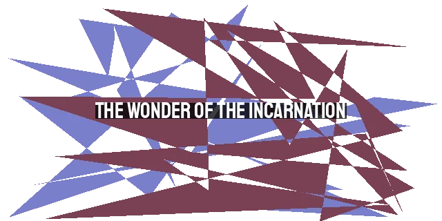 The Wonder of the Incarnation: Reflecting on the Astonishing Story of Jesus