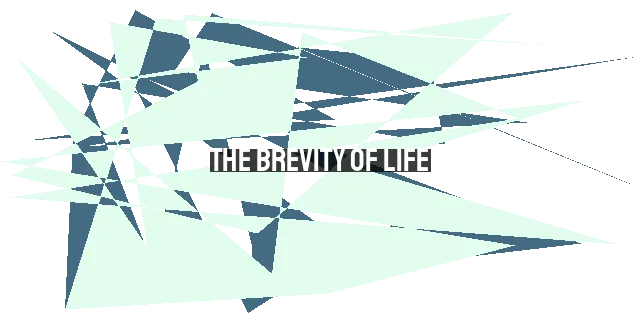 The Brevity of Life: Embracing Time's Rhythms and Trusting God's