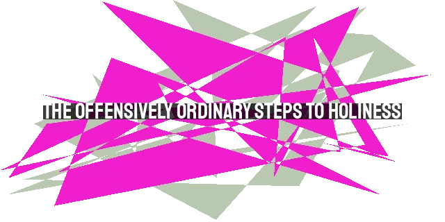 The Offensively Ordinary Steps to Holiness: Embracing God's Extraordinary Work in Everyday Life