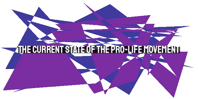 The Current State of the Pro-Life Movement: Challenges and Opportunities