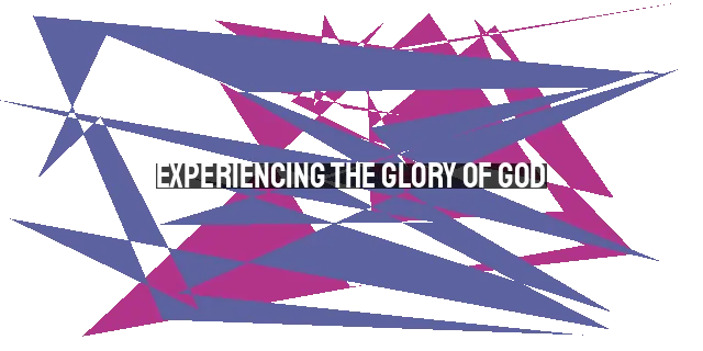 Experiencing the Glory of God: Taste and See His Goodness