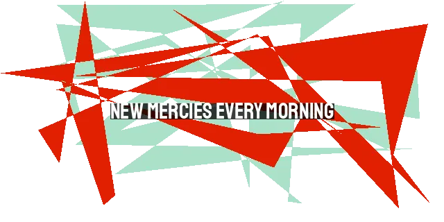 New Mercies Every Morning: Embracing God's Provision and Grace