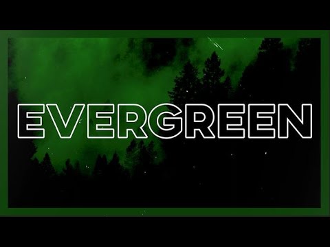 Evergreen by Andrew Ripp