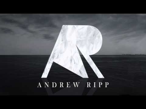 Lies by Andrew Ripp