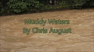 Muddy Waters