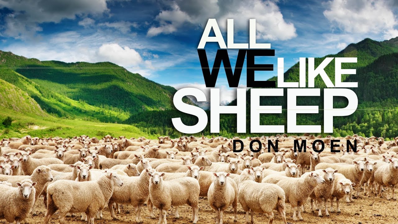 All We Like Sheep by Don Moen