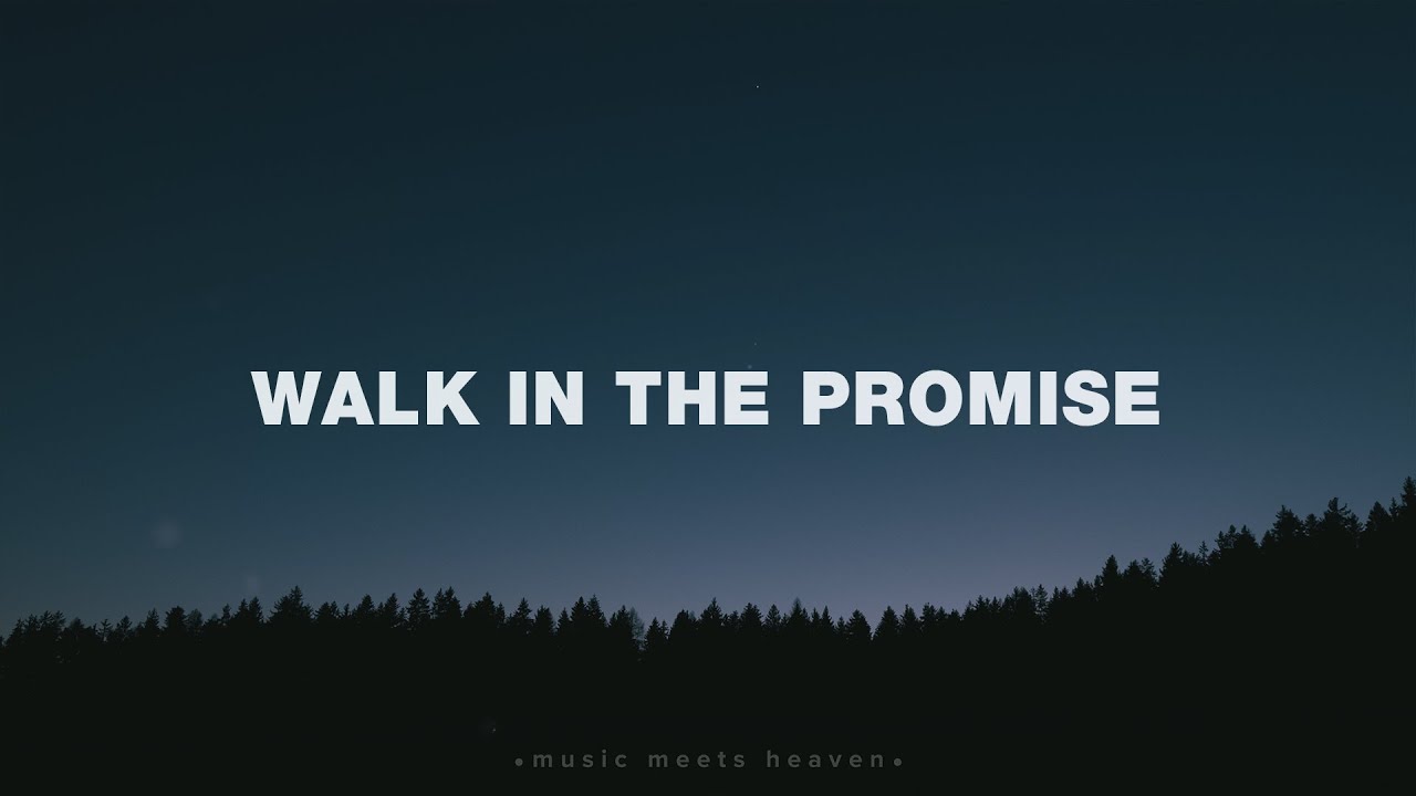 Walk In The Promise by Jeremy Riddle