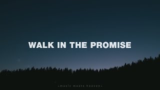 Walk In The Promise by Jeremy Riddle