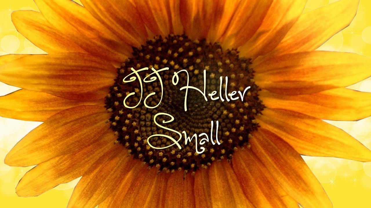 Small by JJ Heller