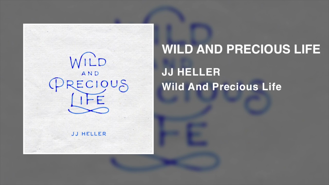 Wild And Precious Life by JJ Heller