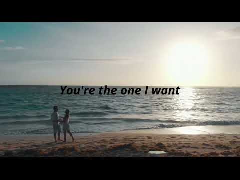 You're The One I Want by JJ Heller