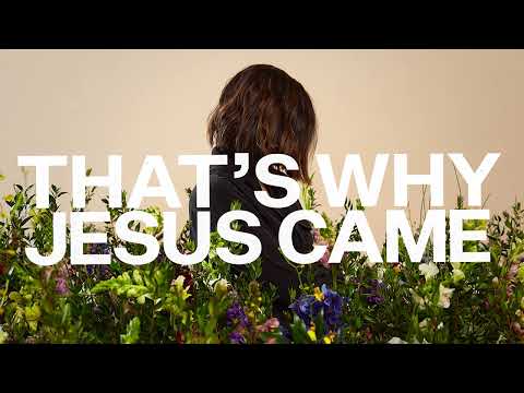 That's Why Jesus Came by Kristene DiMarco