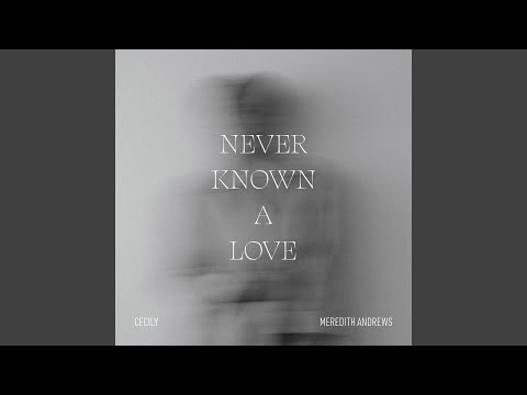 Never Known A Love by Meredith Andrews