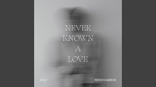 Never Known A Love