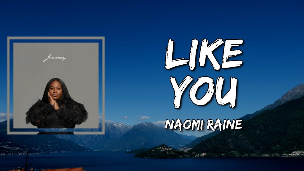 Like You ($u!â‚¬!dÂ£) by Naomi Raine